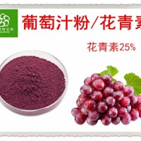 食品級葡萄粉 速溶葡萄汁粉 新鮮果蔬原料粉 SC認證