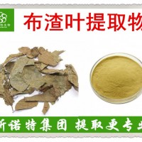 布渣葉提取物 布渣葉濃縮粉 浸膏粉 固體飲料原料 充分溶解