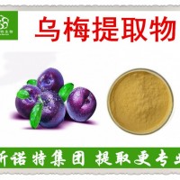 烏梅提取物 烏梅濃縮汁粉 選好品質 就選斯諾特生物集團