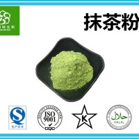 抹茶粉 抹茶提取物 抹茶提取粉 廠家供應 原料