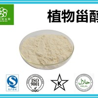 植物甾醇95%含量 源頭廠家 現貨供應