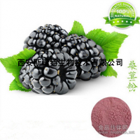 包郵 桑葚速溶粉 速溶桑葚果粉 斯諾特生物 現貨