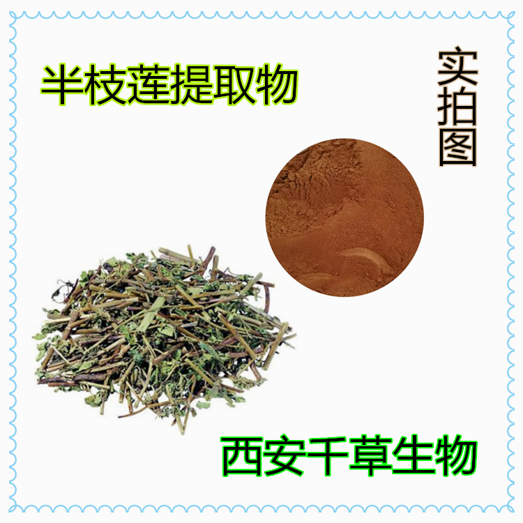 半枝蓮提取物