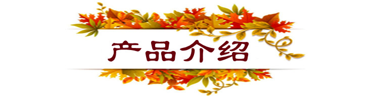 產(chǎn)品介紹