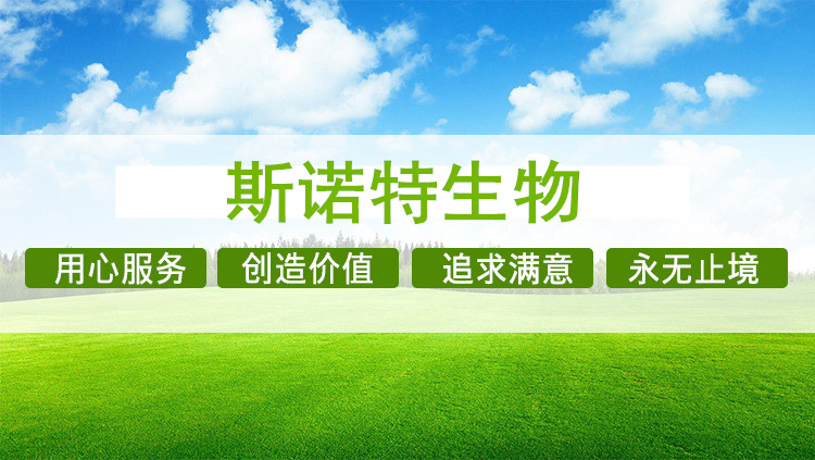 斯諾特生物