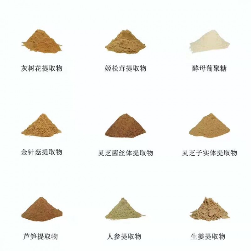 粉末組合1