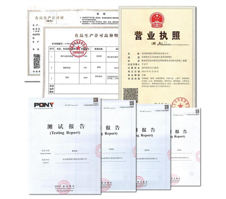 資質報告_副本