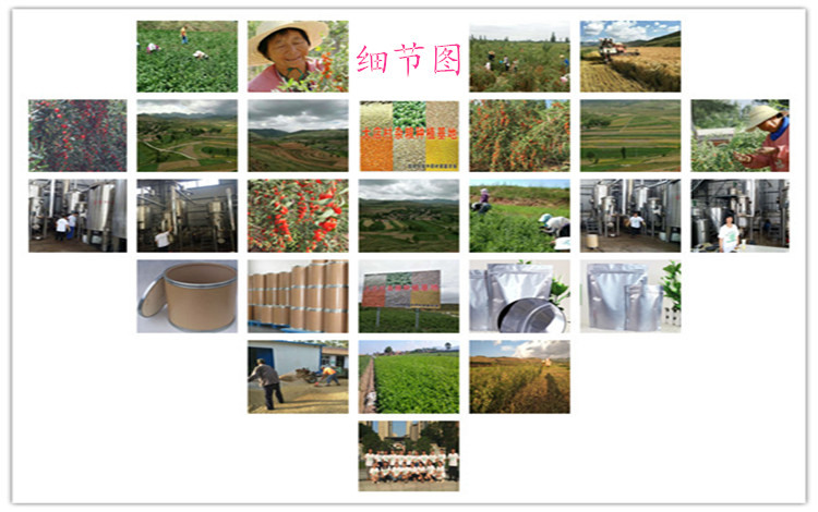 阿里插圖1