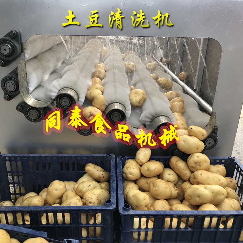 土豆清洗機(jī)4