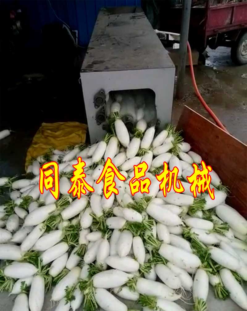 白蘿卜清洗機11