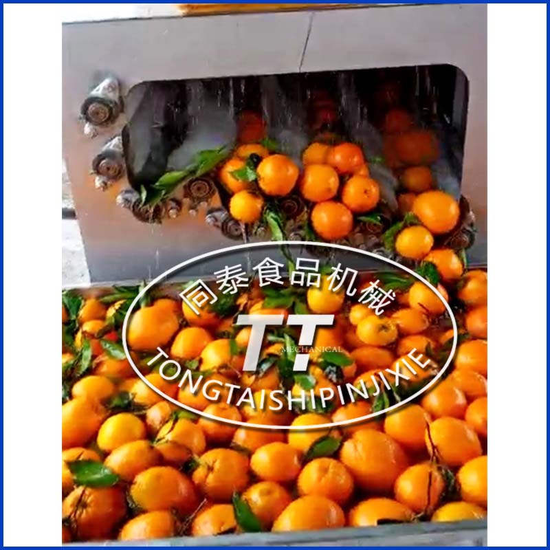 橙子清洗機