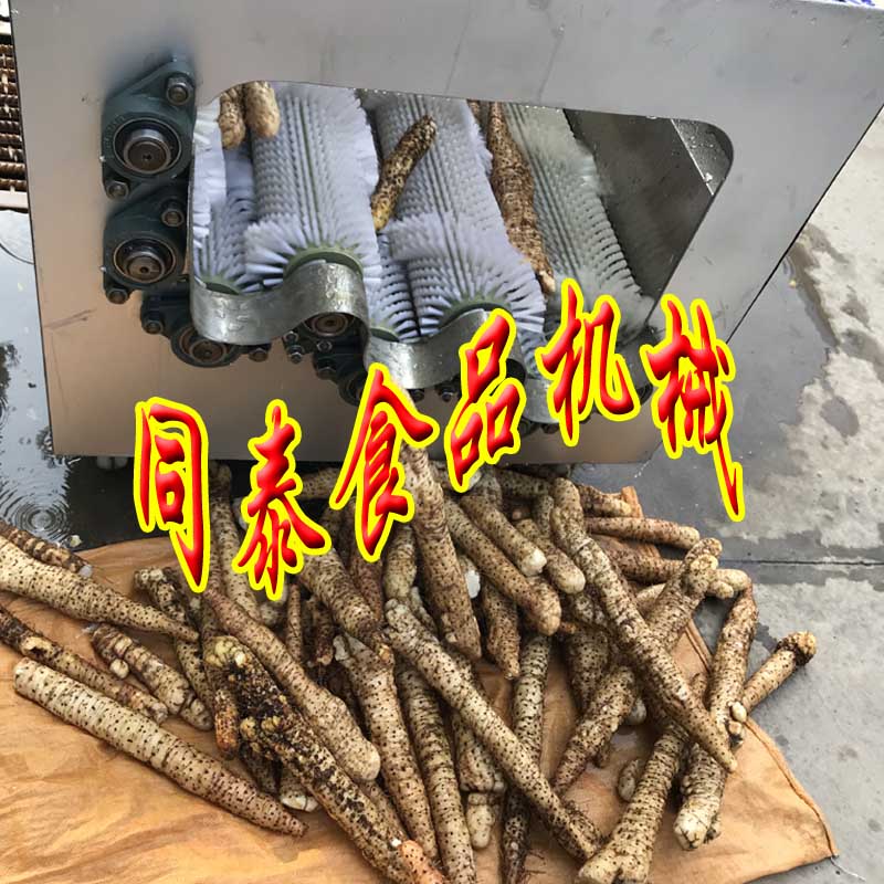 淮山藥清洗機(jī)