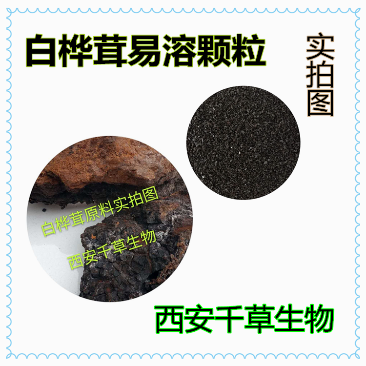 白樺茸易溶顆粒