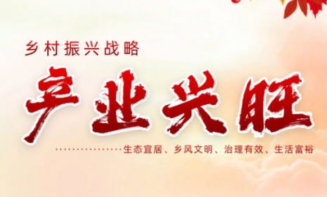 鄉村振興需要更多“鄉村CEO”