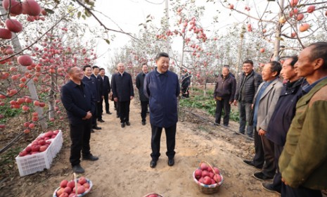 習近平：全面推進鄉村振興 為實現農業農村現代化而不懈奮斗