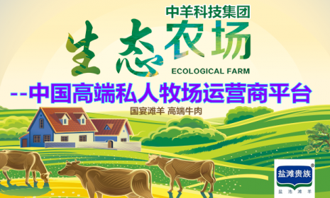 我國肉牛產(chǎn)業(yè)發(fā)展活力足勢頭旺