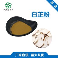 工廠發貨 白芷粉 白芷提取物 藥食同源 噴霧干燥 食品級添加