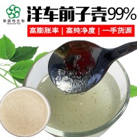 洋車前子殼粉99% 高膨脹率 批發印度圓苞車前子殼原料