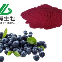 藍莓粉 藍莓汁粉 藍莓固體飲料粉 藍莓粉廠家 藍莓粉現貨