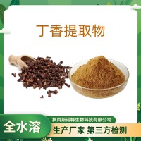 丁香提取物 濃縮丁香粉 藥食同源 SC廠家供應