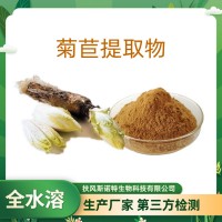菊苣提取物 水溶菊苣粉 植物提取物 藥食同源