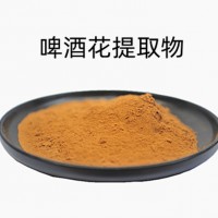 啤酒花提取物 速溶啤酒花粉 食品級原料 工廠發貨