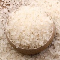 粳米粉 粳米精致磨粉無雜質