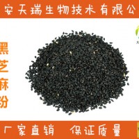 芝麻粉-廠家   黑芝麻提取物