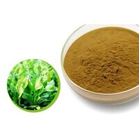 綠茶超微粉