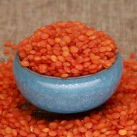 后生元小扁豆粉原料提供/后生元益生菌產品ODM代工