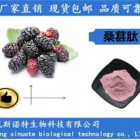 桑葚肽 80%桑葚小分子肽 桑葚低聚肽