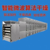 用微波干燥設備烘干后鎖住維生素  金佰力  自動化程度高