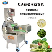多功能數(shù)字變頻切菜機 根莖葉菜類切割設(shè)備 廚房加工設(shè)備