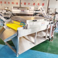 野菜去雜機 QZ型雙層毛輥式菠菜去毛發設備 除雜機