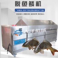 YQT型去魚鱗機(jī) 大洋現(xiàn)機(jī)銷售刮魚鱗設(shè)備 去鱗機(jī)