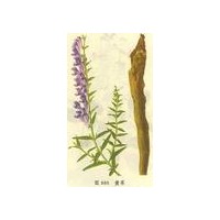 枸杞液體飲料代加工，澤朗生物枸杞濃縮粉