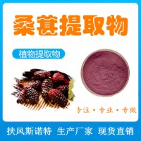 桑葚提取物 斯諾特工廠 速溶固體飲料粉