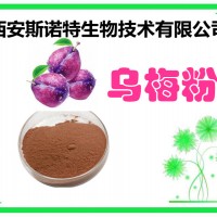 烏梅提取物 烏梅粉 斯諾特生物 10年老廠