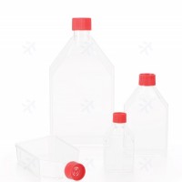 等離子處理T75  virya細胞培養瓶75cm2透氣蓋