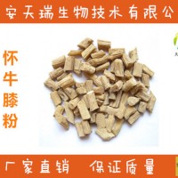 懷牛膝粉-廠家   懷牛膝提取物