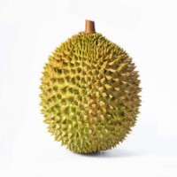 廣西進口馬來西亞貓山王金枕榴蓮原箱整件冷凍榴蓮報關清關