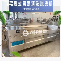 大洋供應(yīng)毛刷清洗機(jī) 新型土豆清洗設(shè)備 洗獼猴桃機(jī)