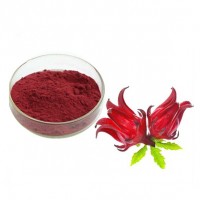 洛神花粉 玫瑰茄提取物 斯諾特生物