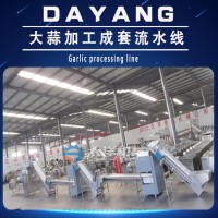 省人工型全自動大蒜流水線 專業大蒜加工前處理設備