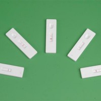 豬旋毛蟲抗體快速檢測卡