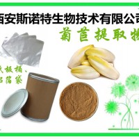 菊苣提取物 菊苣粉 原料植提 TLC檢測