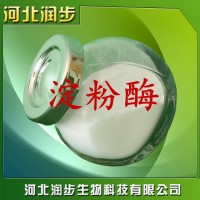 α-淀粉酶在食品加工中的應用