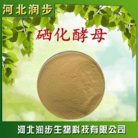 供應 食品級 酵母硒 硒化酵母 2000ppm