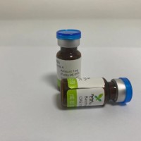 毛蕊花糖苷【CAS號】  61276-17-3 對照品