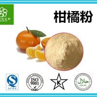 柑橘果粉 柑橘粉 廠家批發飲料果粉原料 水果粉